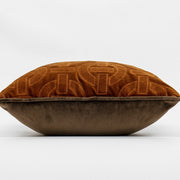 Pillow  ,Cover ,Wedge  ,Ultra-Soft ,Decoration .