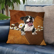 cartoon  ,adorable  ,dog  ,cute  ,Pillow .